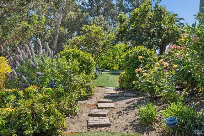 Photo - 32 Marin Bay Park Ct