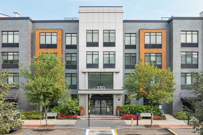 Entrada - 330 Angelo Cifelli