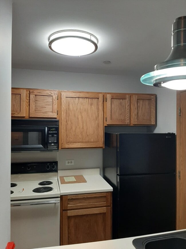 Building Photo - 1375 Cunat Ct Unit 3G