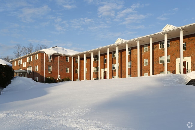 Photo - Mill Street Gardens