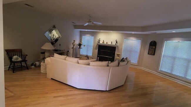 Photo - Relaxed Executive