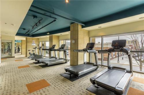 gymn - 4561 Olde Perimeter Way Unit 1803