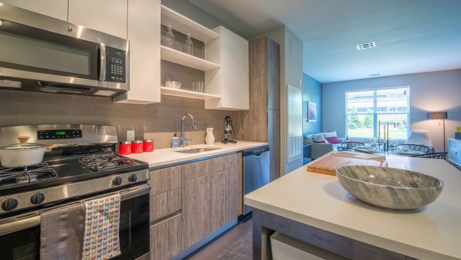 Well appointed kitchens featuring ample storage options