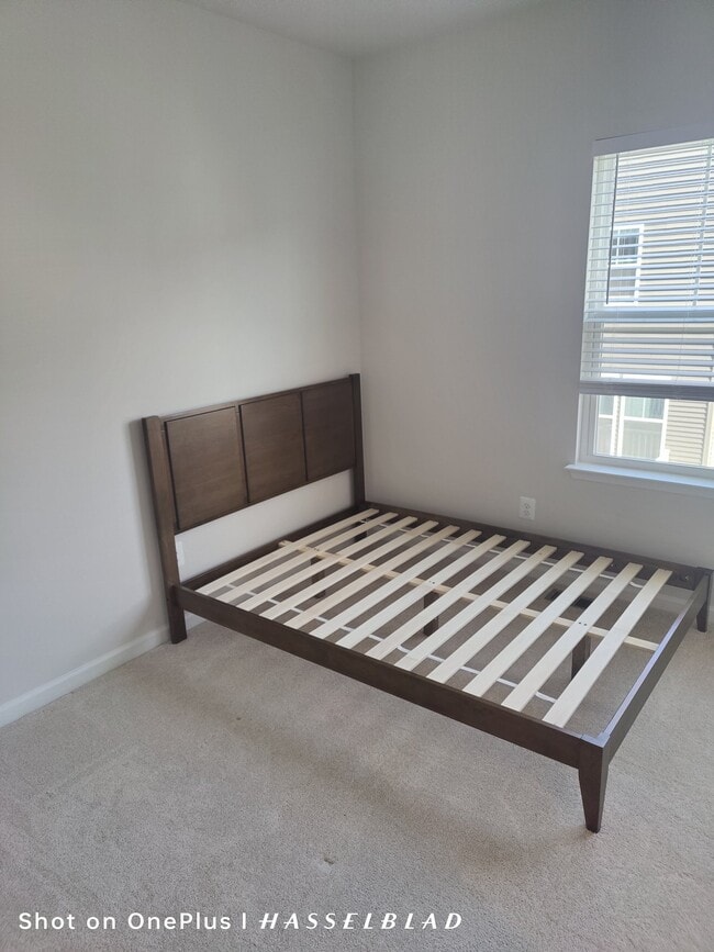 Photo - 3418 Chester Aly