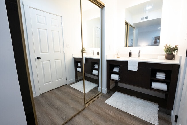 Bathroom and Closet