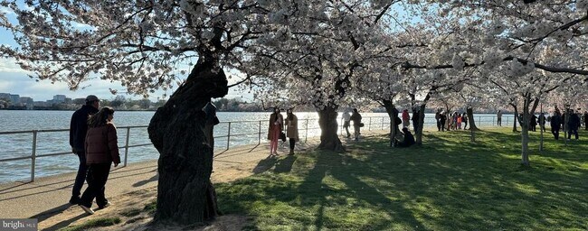 Photo - 1311 Delaware Ave SW Unit S336