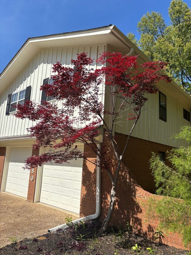 Photo - 8280 Chippingham Dr