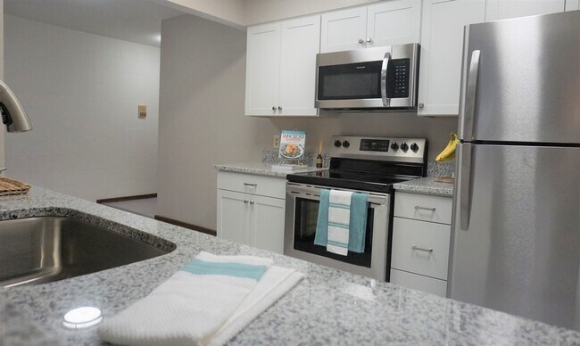 Cocina renovada - Idaho Park East