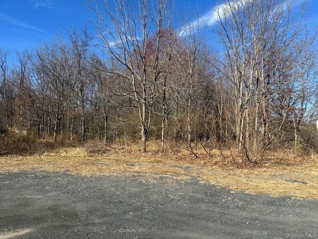 Photo - 1110 NY-94