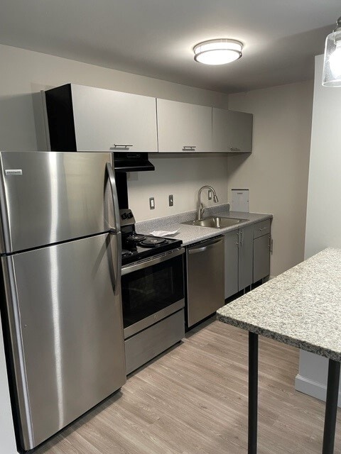 dishwasher and garbage disposal