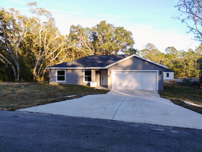 New Ocklawaha Home - New Ocklawaha Home