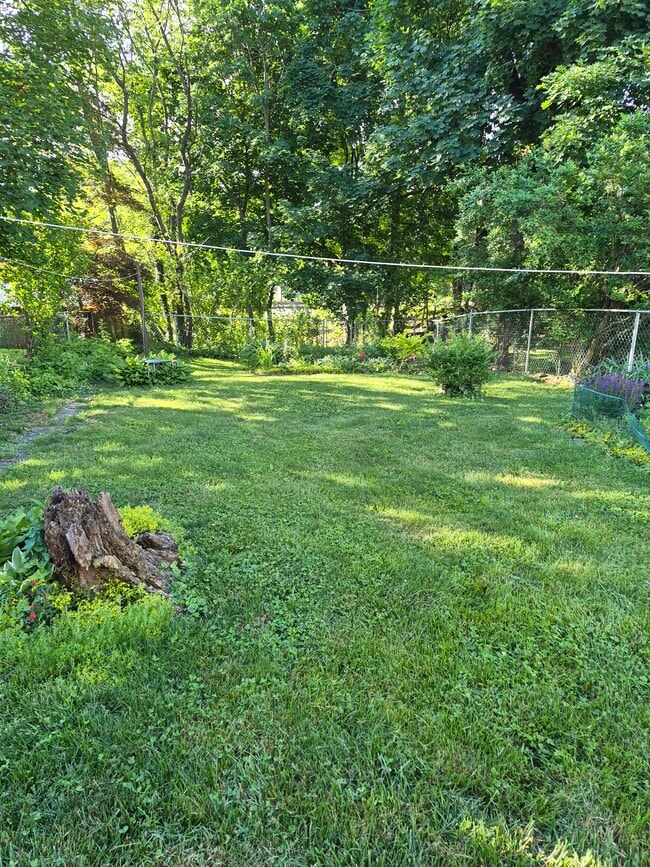 Photo - 381 Stewart Ave