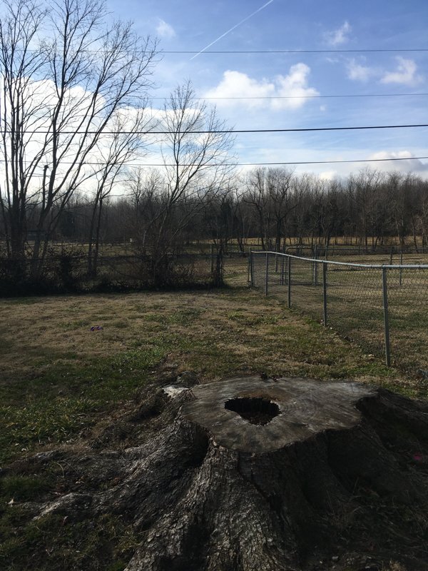 Photo - 3608 Ripple Creek Dr