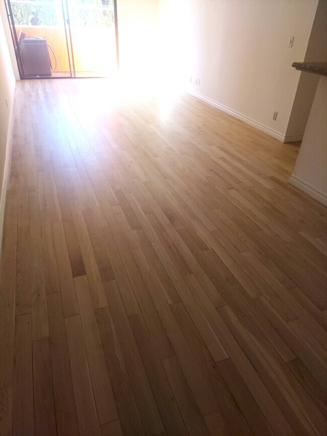 Photo - Bravo Venice Apartments