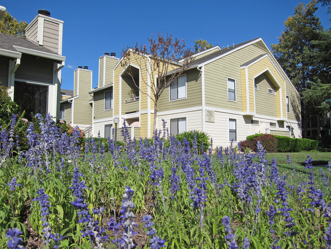 Pocket Sacramento Apartments