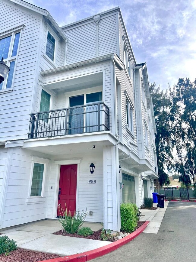 Photo - COMING SOON! $3,340 STUNNING  2 BEDROOM MODEL TOWNHOUSE IN CENTRAL FREMONT