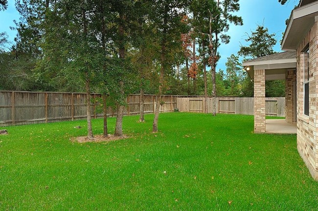 46 Bryce Branch Cir Rental - House Rental in The Woodlands, TX ...