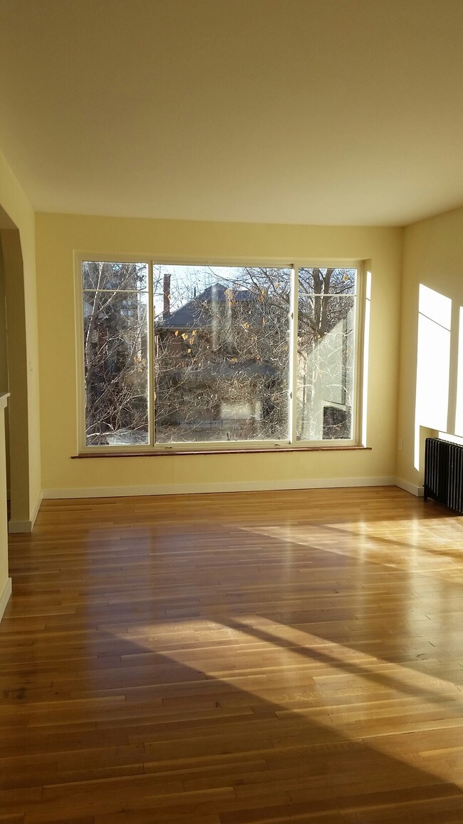 Photo - Marlene Apartments