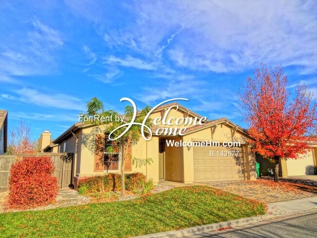 Photo - 481 Miesque Ct