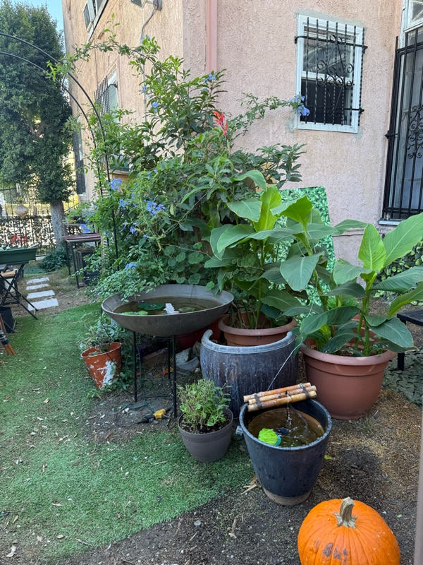 1781 Orchid Ave Unit 103