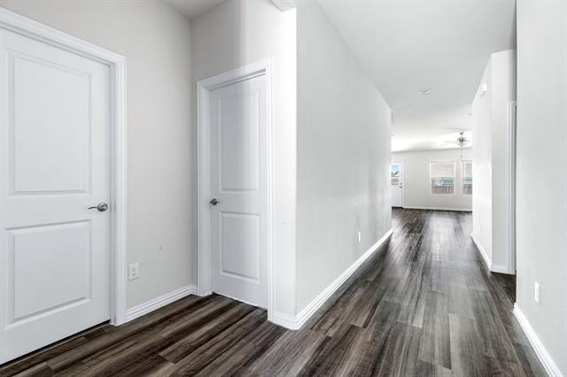 Photo - 6312 Spooky Cat Trl