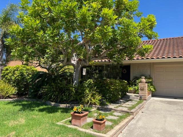 Photo - 730 San Mario Dr House