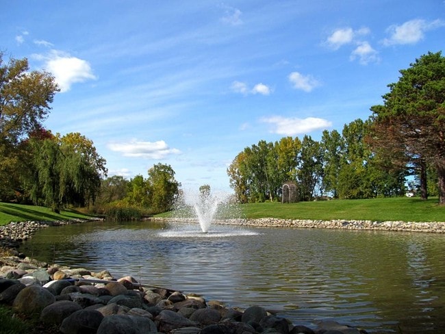 Pond