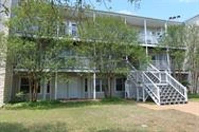 Building Photo - Super Cute, Tastefully Furnished, Hyde Park Condo