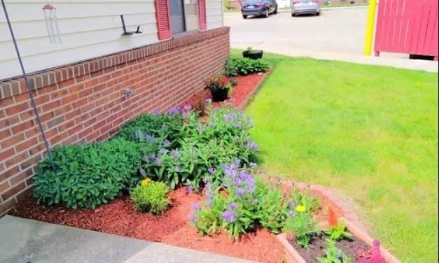 Photo - 814 Gwynne St