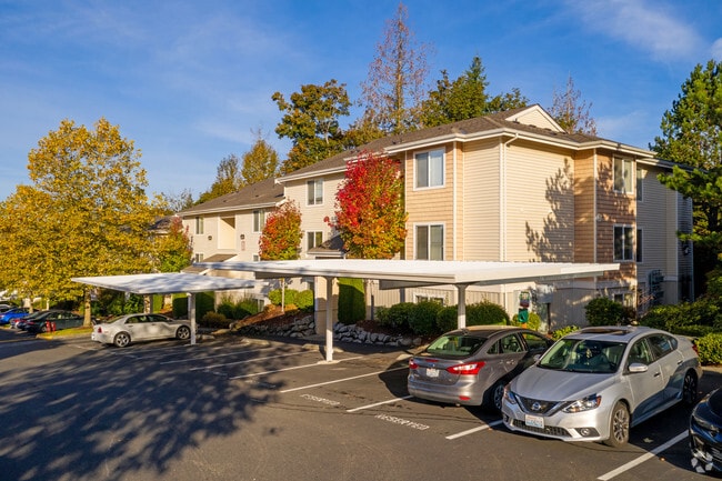 Photo - Pasafino Apartments