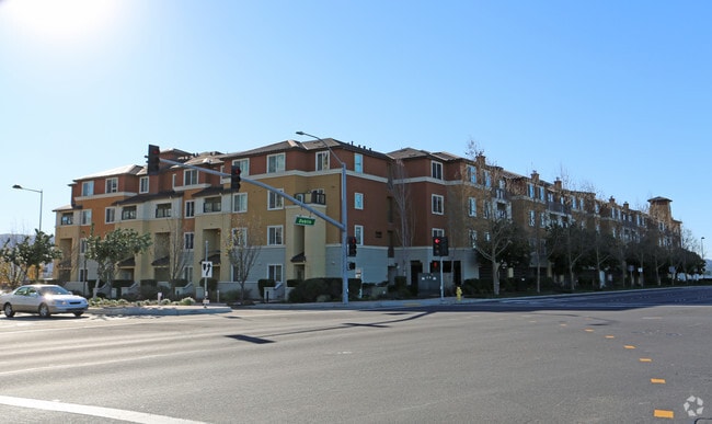 Photo - Camellia Place Apartments