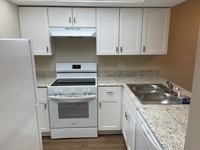 New kitchen and all new appliances - 1283 Lane on the Lk Condo