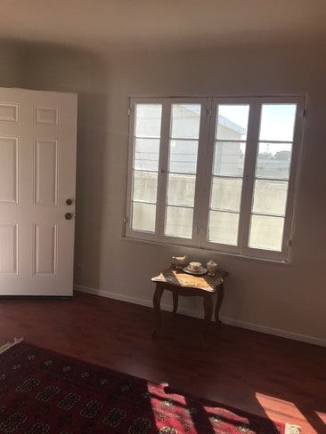 Living Room window