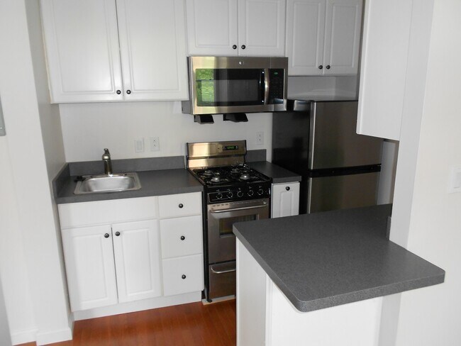 Building Photo - 1 Haviland St Rental