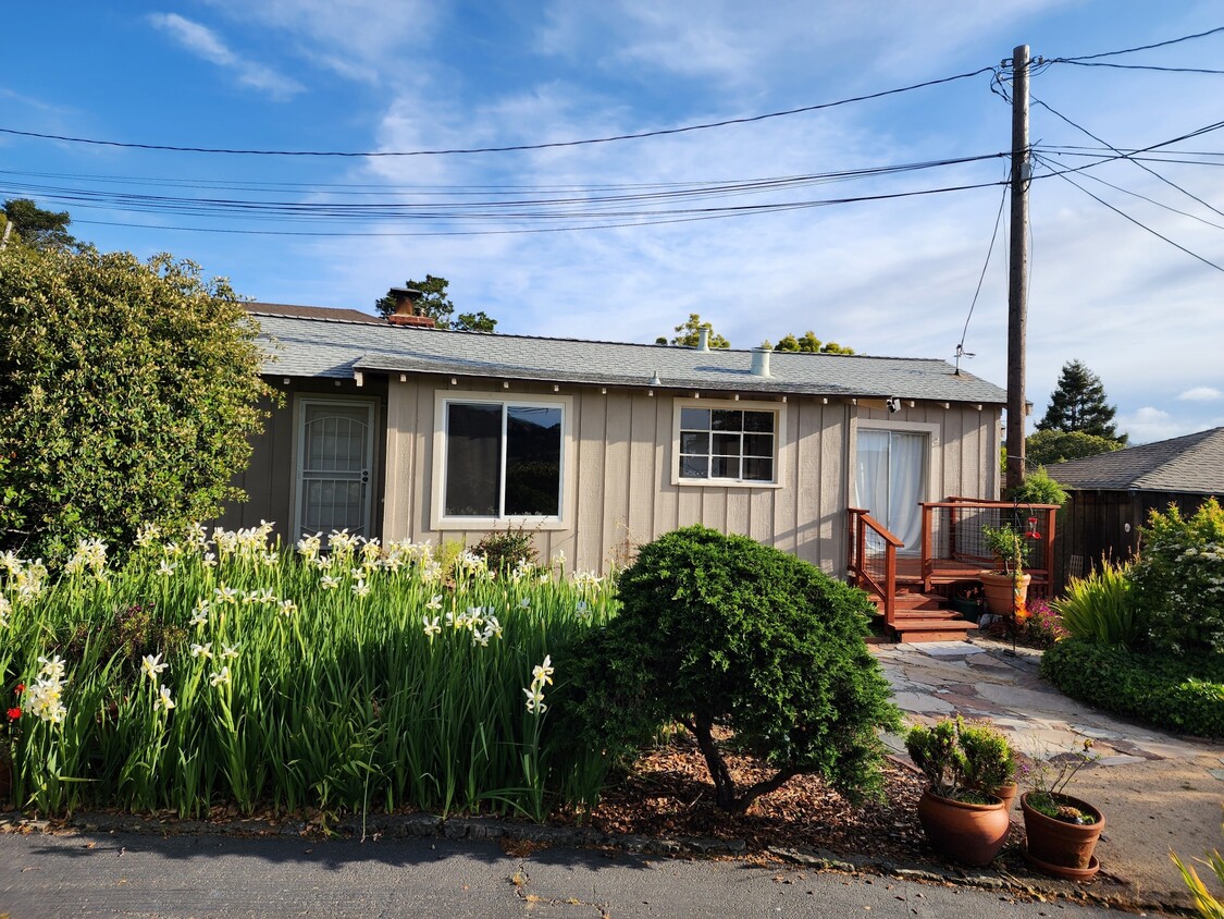 Photo - 203 Morning Sun Ave (Mill Valley, CA)