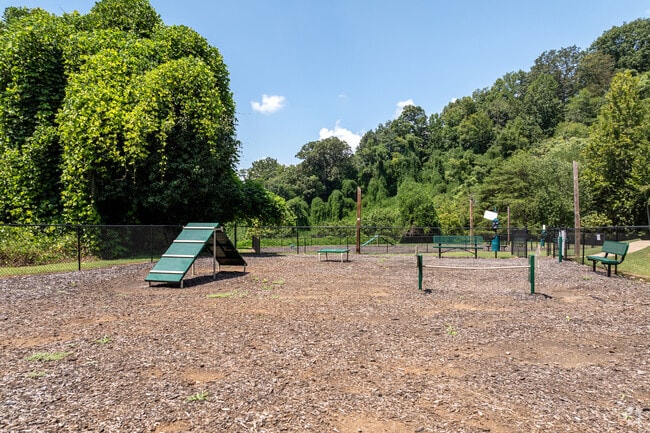 Large Dog Park