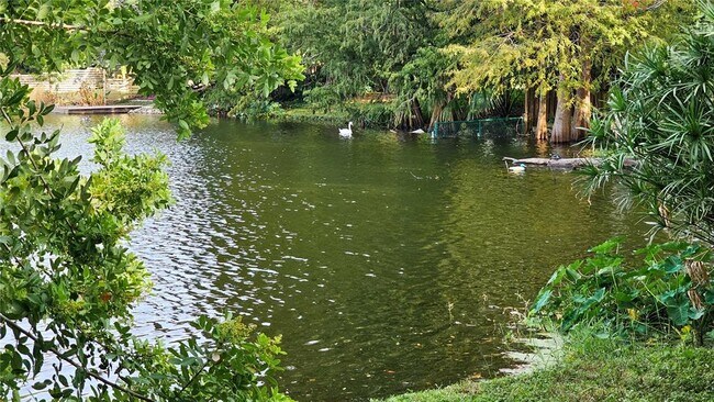 Photo - 233 S Summerlin Ave