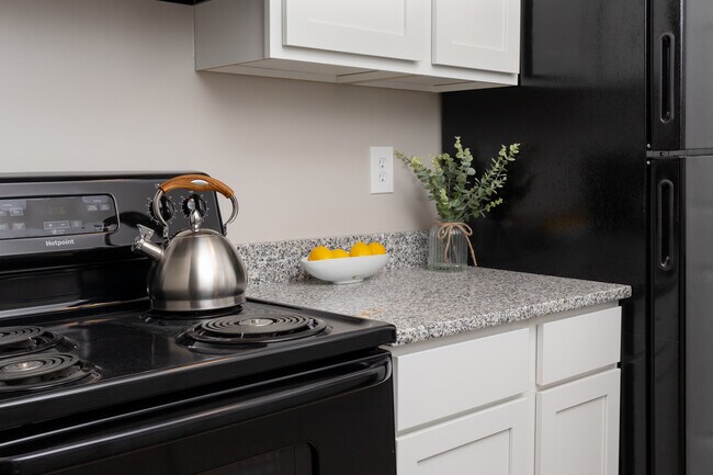 Renovated Kitchen