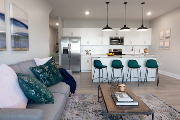 Living Room and Kitchen