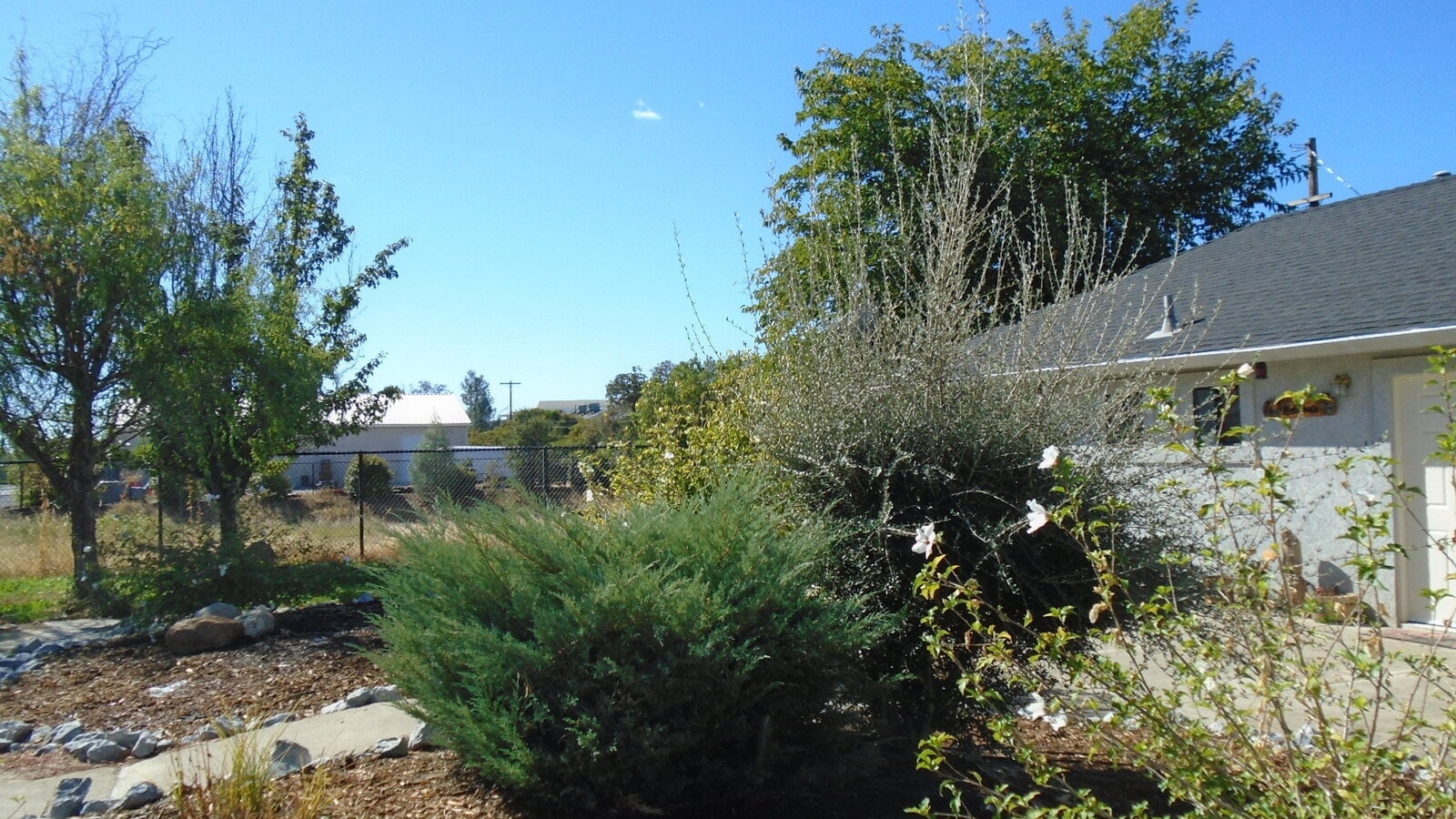 Photo - 4 Bedroom in Ravenwood Subdivision