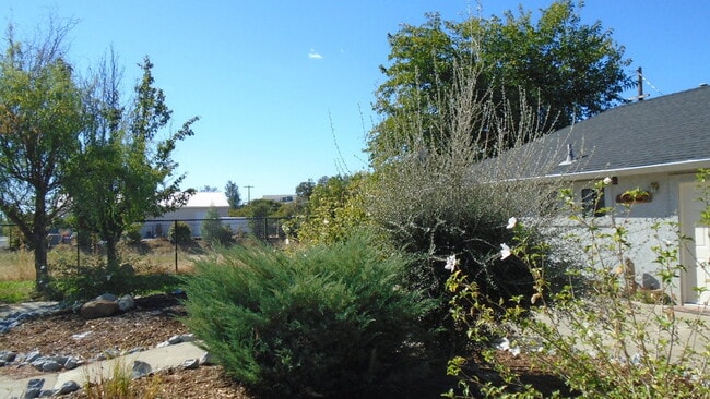 1984 Airstrip Rd