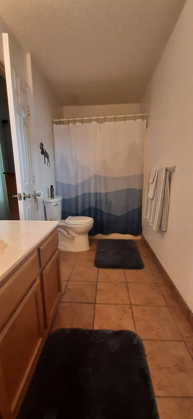 upstairs bathroom - 209 N Eagle Dr