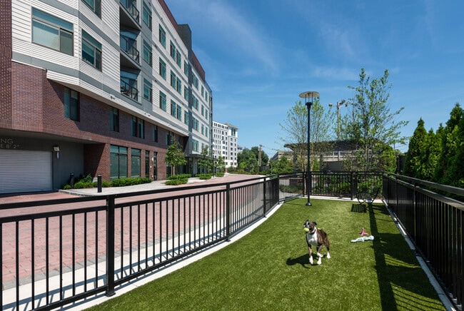 Luxe at Alewife