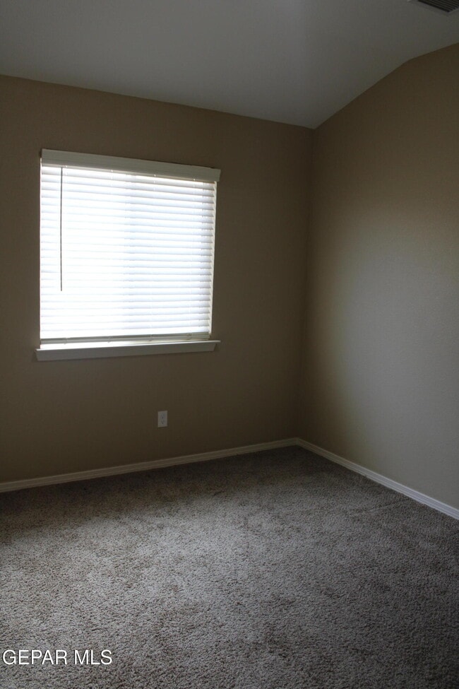 Photo - 11673 Flor Celosia