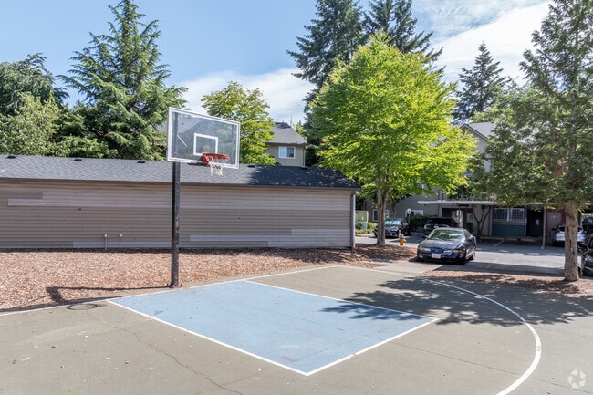 Basketball Court