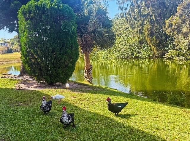 Photo - 85 Northampton E