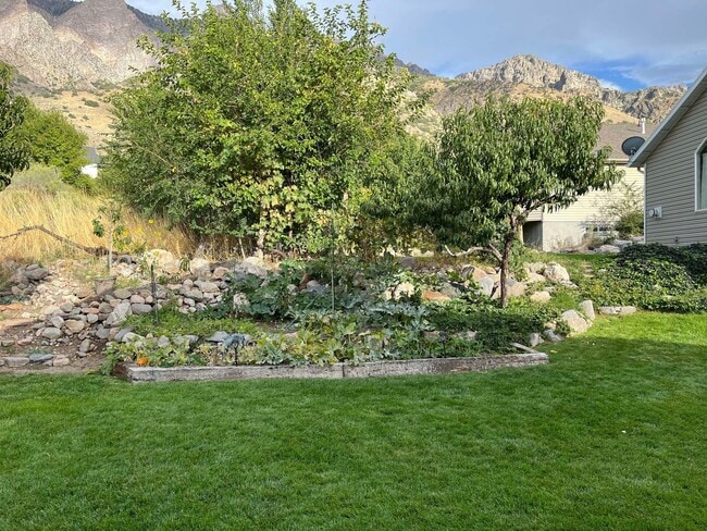 Photo - 639 S Appaloosa Cir