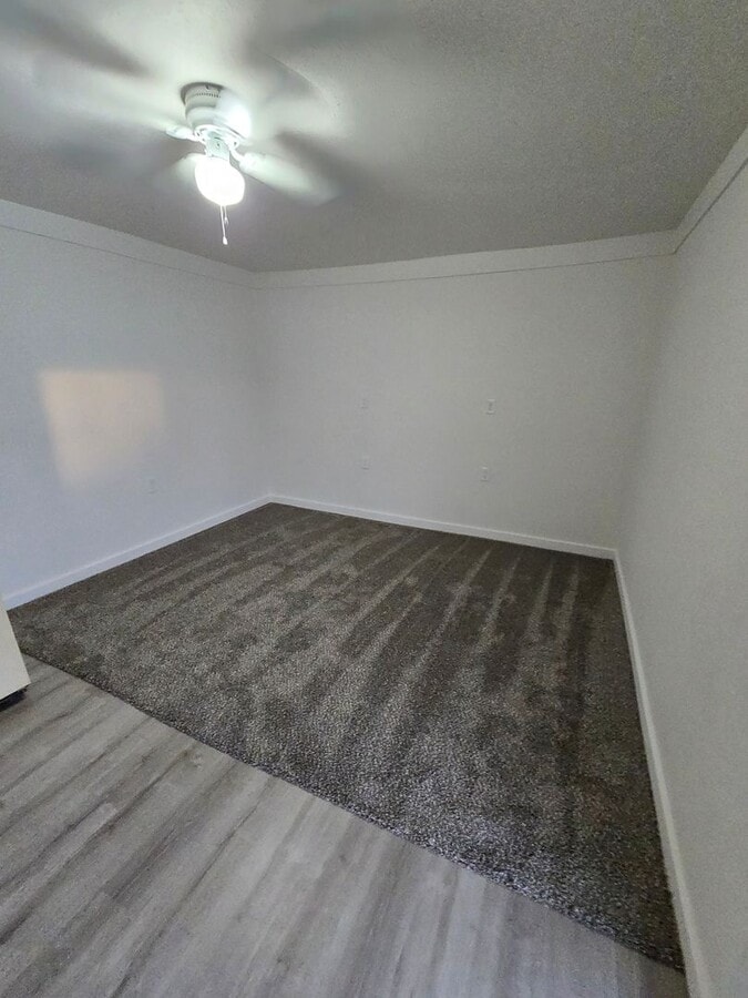 Photo - RENT SUX - 110 ALDERSON STREET