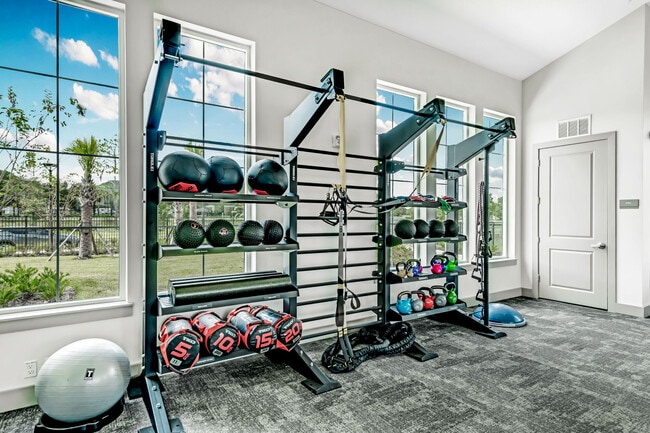 Photo - Tessa Springs