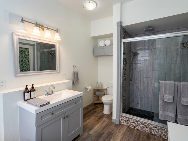 Large open bathroom with digitally controlled shower/rain shower.